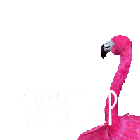 Flamingo Swipe Up Sticker by lastminute.com