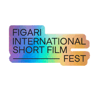 Film Fest Art Sticker by Figari International Short Film Fest