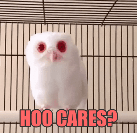 owl who cares GIF by chuber channel
