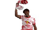 Football Smile Sticker by RB Leipzig