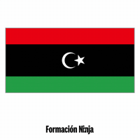 Libya Flag GIF by Formación Ninja