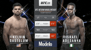 ufc sports sport ufc mma GIF