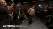 ufc sports sport ufc mma GIF