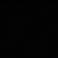 Spoiler GIF by Renata Paraiso