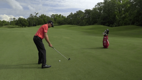 GIF by Wilson Golf