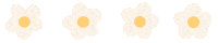 Daisy Daisies Sticker
