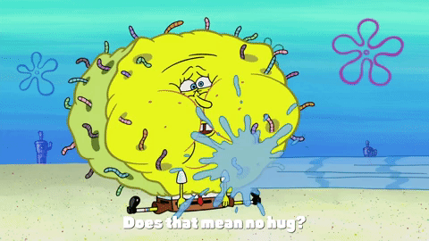 season 10 episode 3 GIF by SpongeBob SquarePants