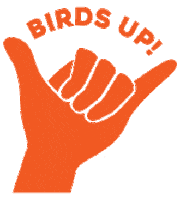 Alumni Roadrunner Sticker by The University of Texas at San Antonio