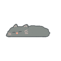 Cat Kitten Sticker by Etude_official