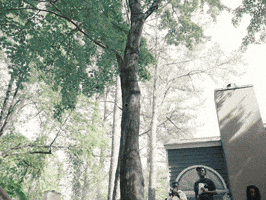 Music Video Money GIF by SLANG