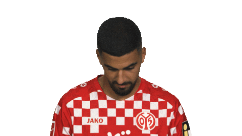 Look Up Mainz 05 Sticker by Bundesliga