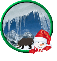 Snow Winter Sticker