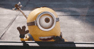 Happy Wonder GIF by Minions
