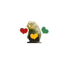 TierparkSababurg love heart bird zoo Sticker