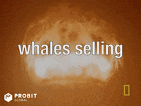 Crypto Bitcoin GIF by ProBit Global