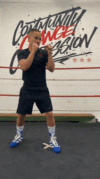 quinitboxing  GIF