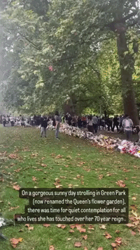 Floral Tributes to Queen Stretch Across London's Green Park