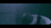 Guitar Musicvideo GIF by Red Bull Records