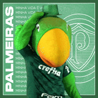 Soccer Futebol GIF by SE Palmeiras