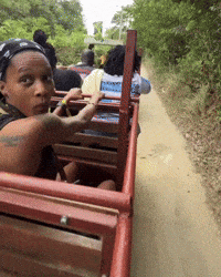 Jamaican Flag Jamaica GIF