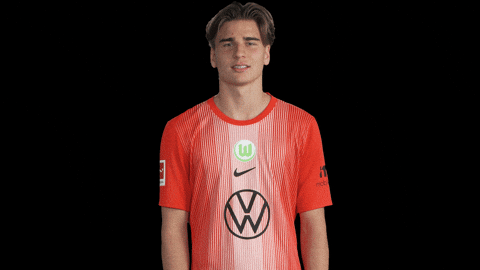 Bundesliga No GIF by VfL Wolfsburg
