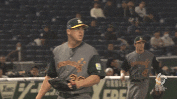 Excited Pumped Up GIF by MLB