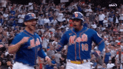 New York Mets Sport GIF by SNY