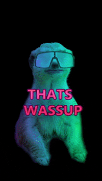 dynaplug dynaplug themeerkat GIF