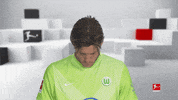 Vfl Wolfsburg Smile GIF by Bundesliga