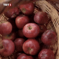 Apple Eat GIF by TRT