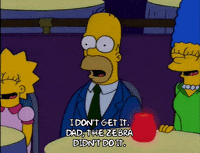 homer simpson GIF