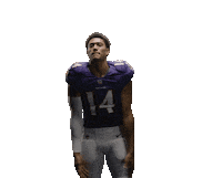 Lets Go Football Sticker by Baltimore Ravens