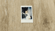 Signablehq polaroid signable teamsignable GIF