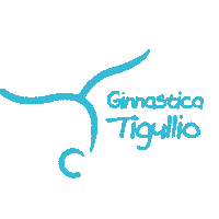 Gym Sticker by Ginnastica Tigullio