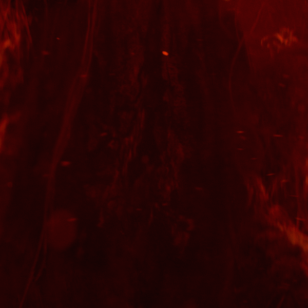 sabrina spellman witch GIF by Chilling Adventures of Sabrina