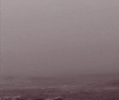 Hungry Snacks GIF by HarrisCountyPL