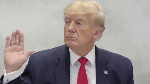 Swearing In Donald Trump GIF by GIPHY News