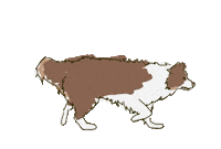 lillieandgarcello dog 犬 走る lillie Sticker