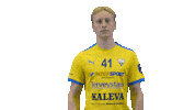 Floorball Salibandy Sticker by F-liiga