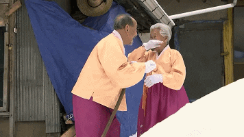 tingtinglu giphyupload GIF