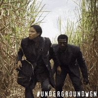 wgn america drama GIF by Underground