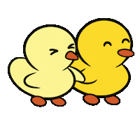DuckieandDuck love walk ducks ducky Sticker