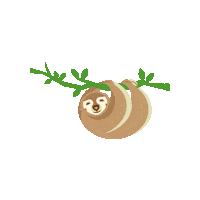 audubonnature sloth audubon audubon nature institute audubon nature Sticker