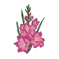 Flowers Pink Flower Sticker