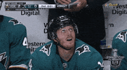ice hockey omg GIF by NHL
