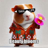 Within And Without Beauty GIF by Guinea Gambino