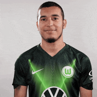 Soccer Bundesliga GIF by VfL Wolfsburg