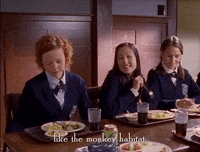 season 2 netflix GIF by Gilmore Girls 