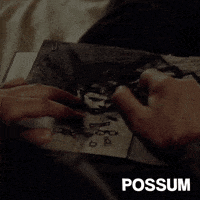 indie film wtf GIF by Bulldog Film Distribution