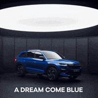 skodaglobal blue dream imagine rs GIF